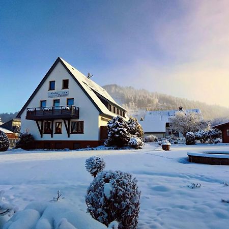 Landhaus Stremme Willingen  Exterior foto