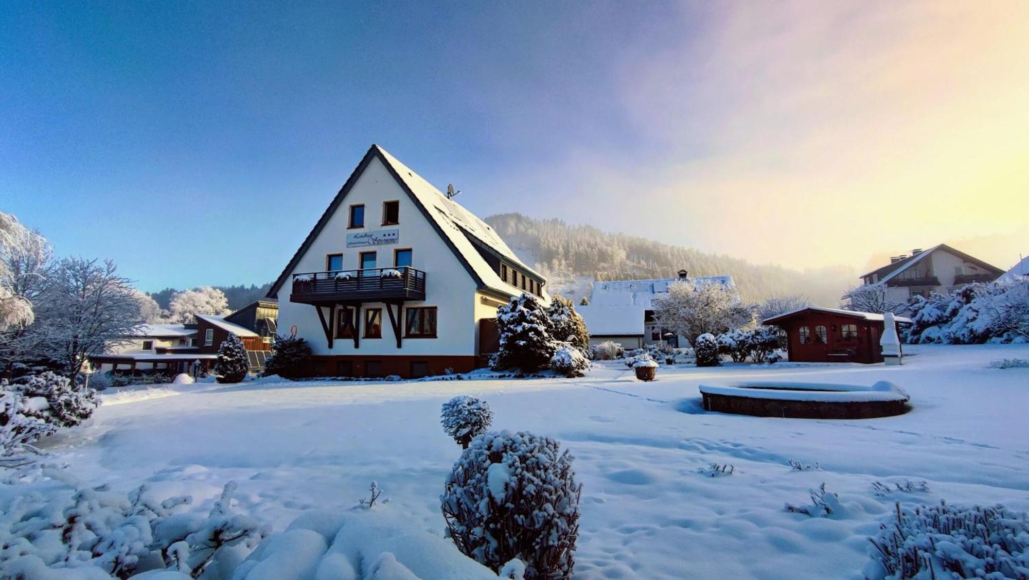 Landhaus Stremme Willingen  Exterior foto